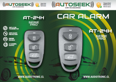 car alarm